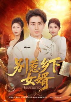 《别惹乡下女婿》