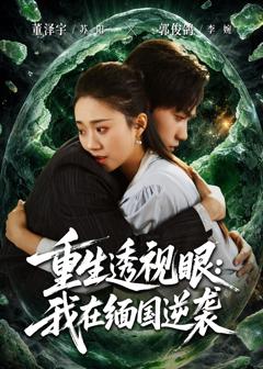 重生透视眼：我在缅国逆袭