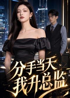 《分手当天我升总监》