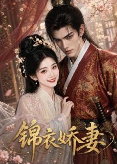 《锦衣娇妻》