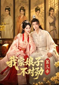 《我家娘子，不对劲第三季》