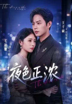 《夜色正浓（短剧）》