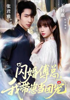 闪婚傅总，我带崽当团宠