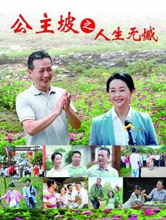 《公主坡之人生无憾》