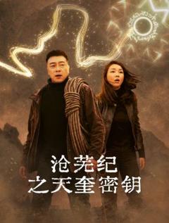 《沧芜纪之天奎密钥》