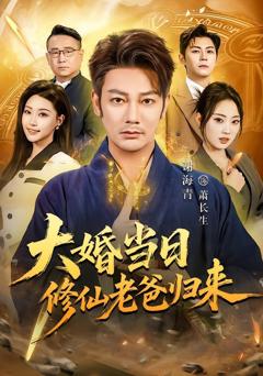 《大婚当日修仙老爸归来》